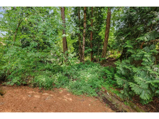 a view of outdoor space and garden