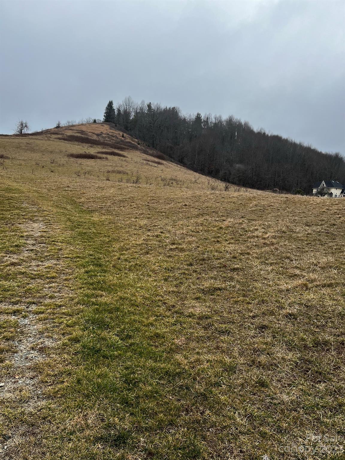 Tbd Poplar Grove Road Boone, NC 28607 - Photo 23 of 48