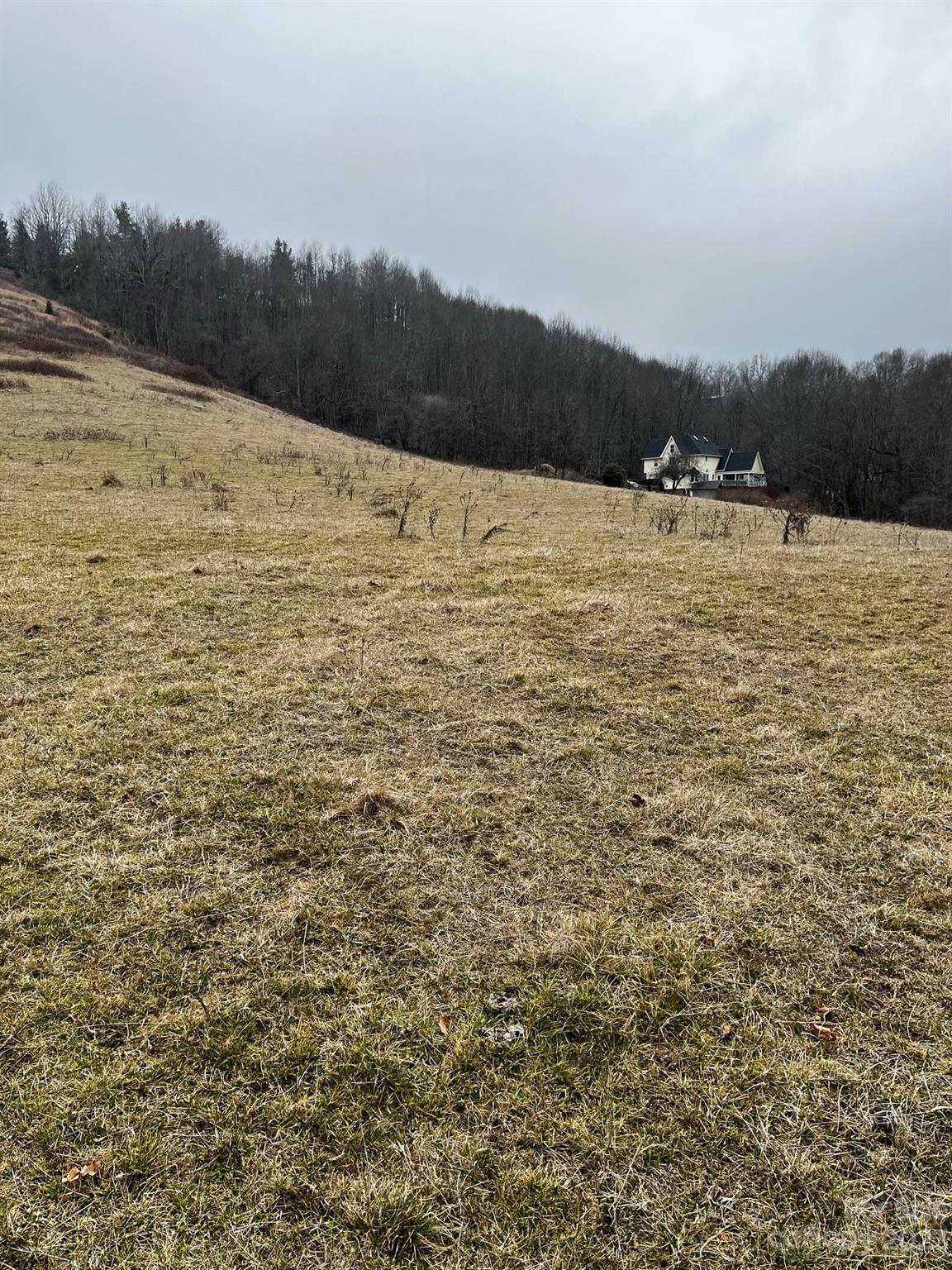 Tbd Poplar Grove Road Boone, NC 28607 - Photo 24 of 48