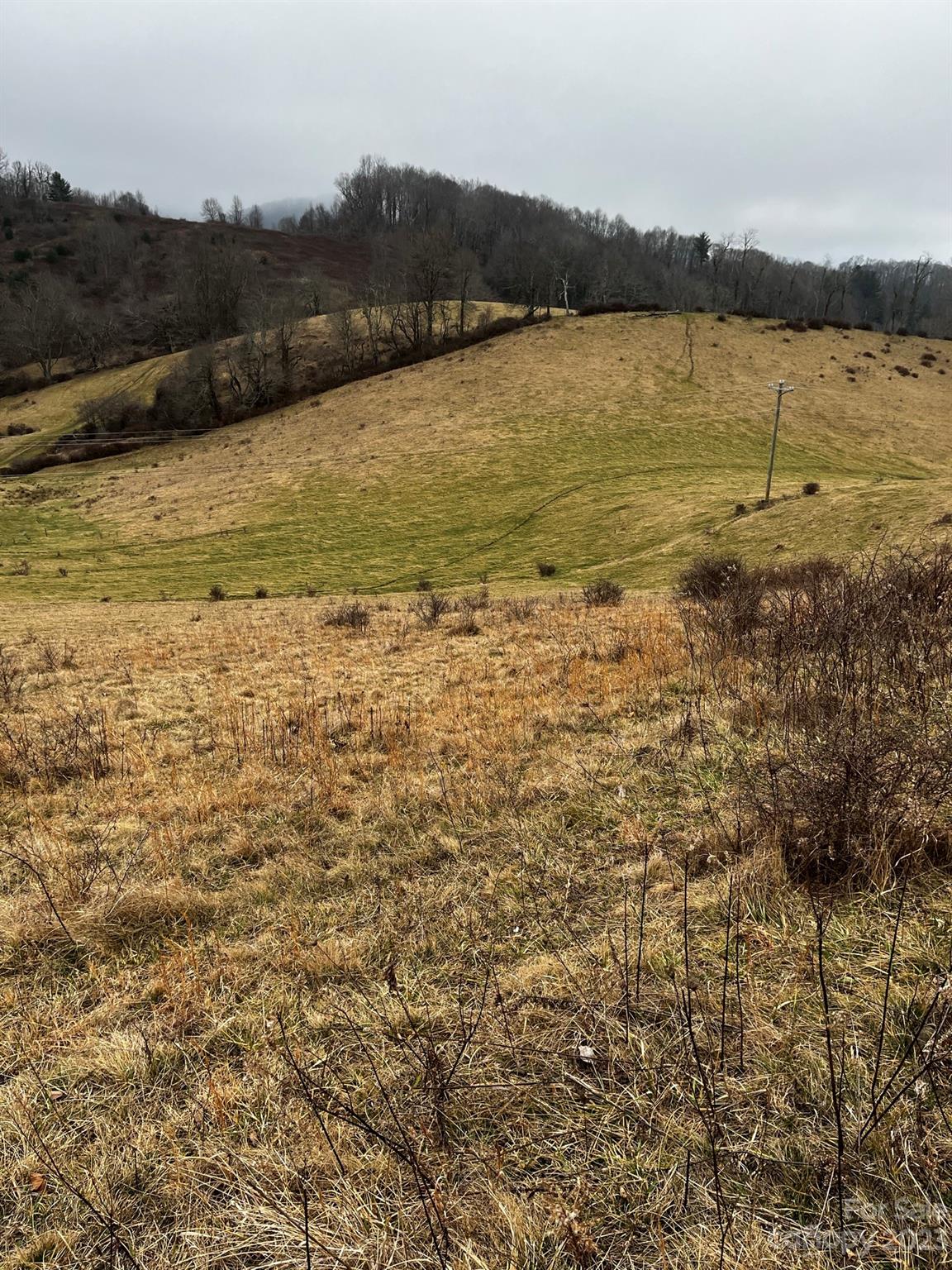 Tbd Poplar Grove Road Boone, NC 28607 - Photo 34 of 48