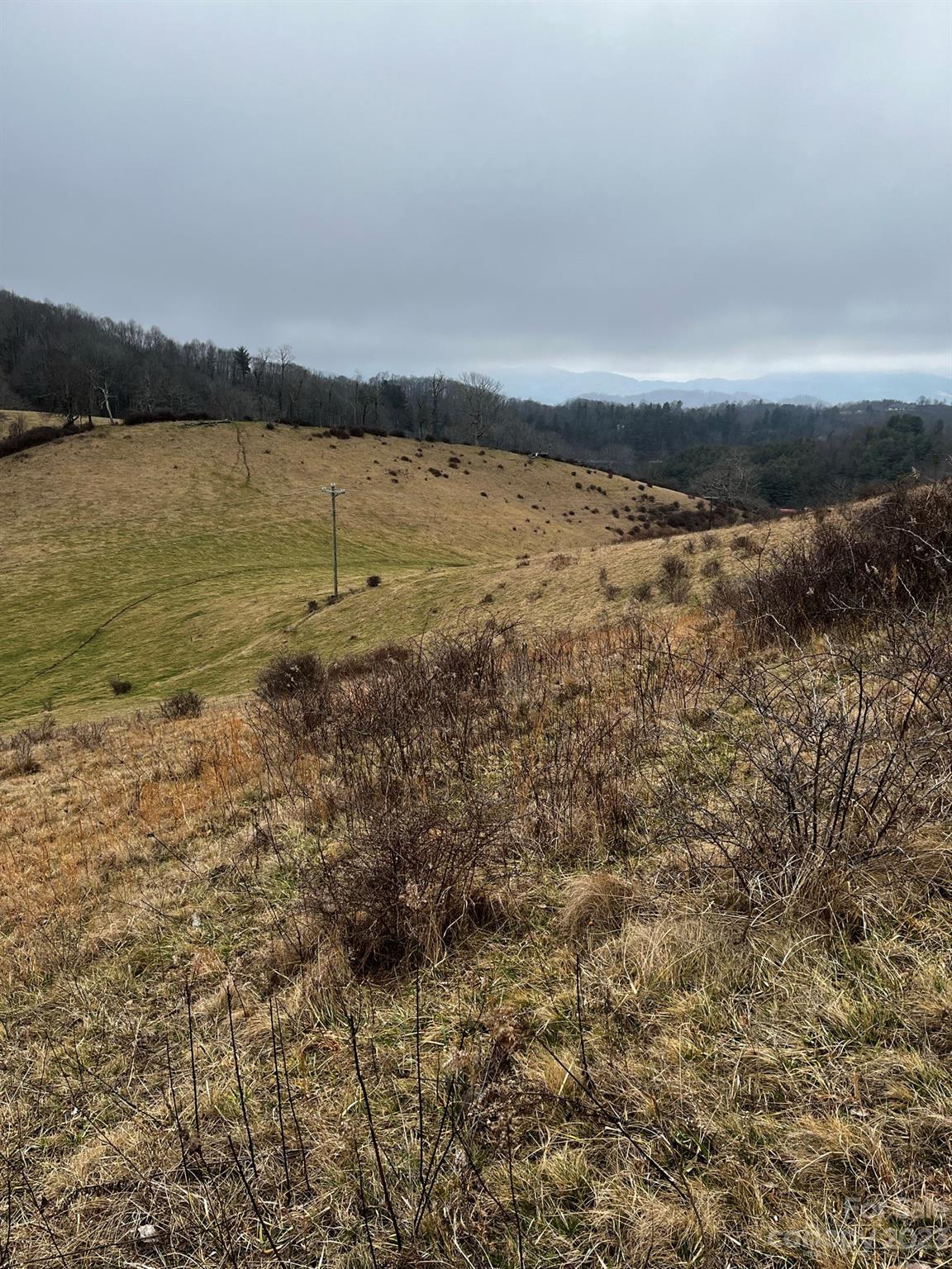Tbd Poplar Grove Road Boone, NC 28607 - Photo 35 of 48