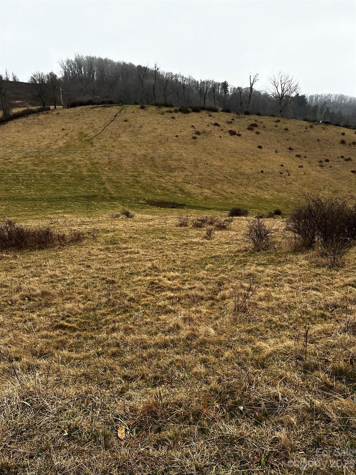 Tbd Poplar Grove Road Boone, NC 28607 - Photo 39 of 48