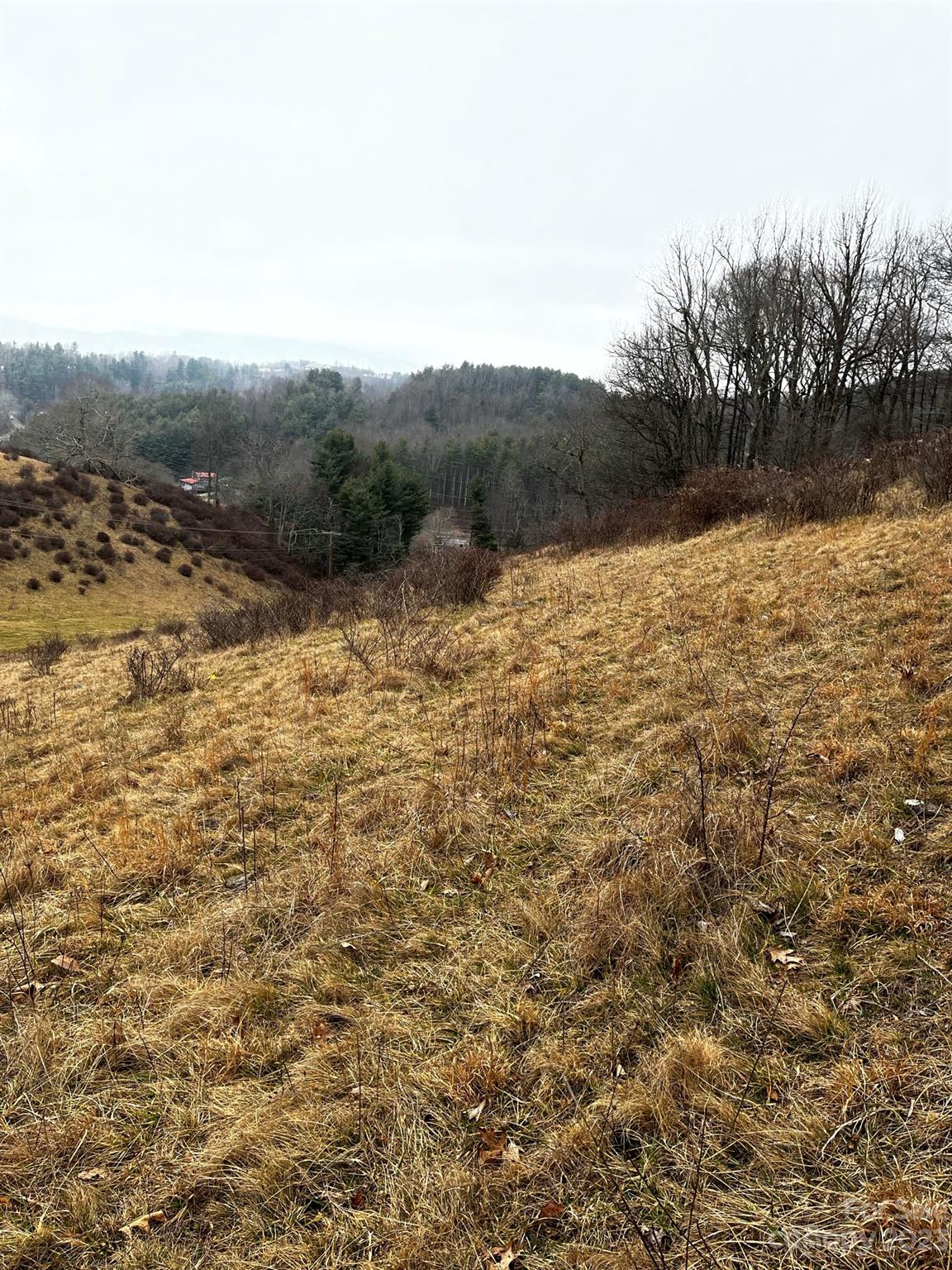 Tbd Poplar Grove Road Boone, NC 28607 - Photo 41 of 48