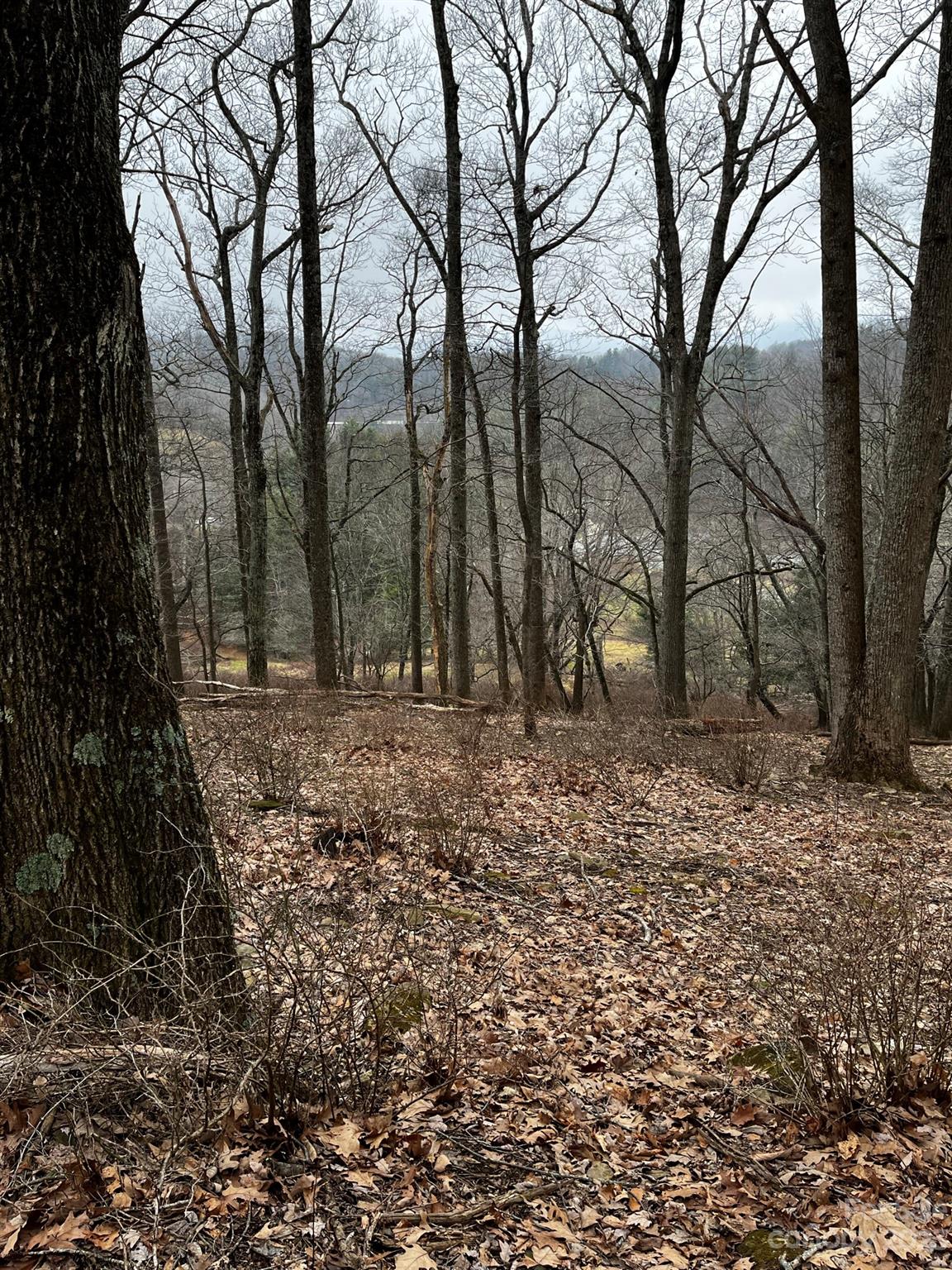 Tbd Poplar Grove Road Boone, NC 28607 - Photo 43 of 48