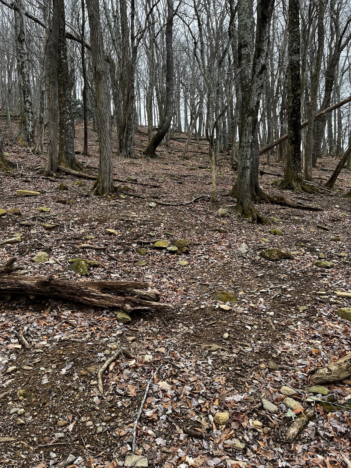 Tbd Poplar Grove Road Boone, NC 28607 - Photo 44 of 48