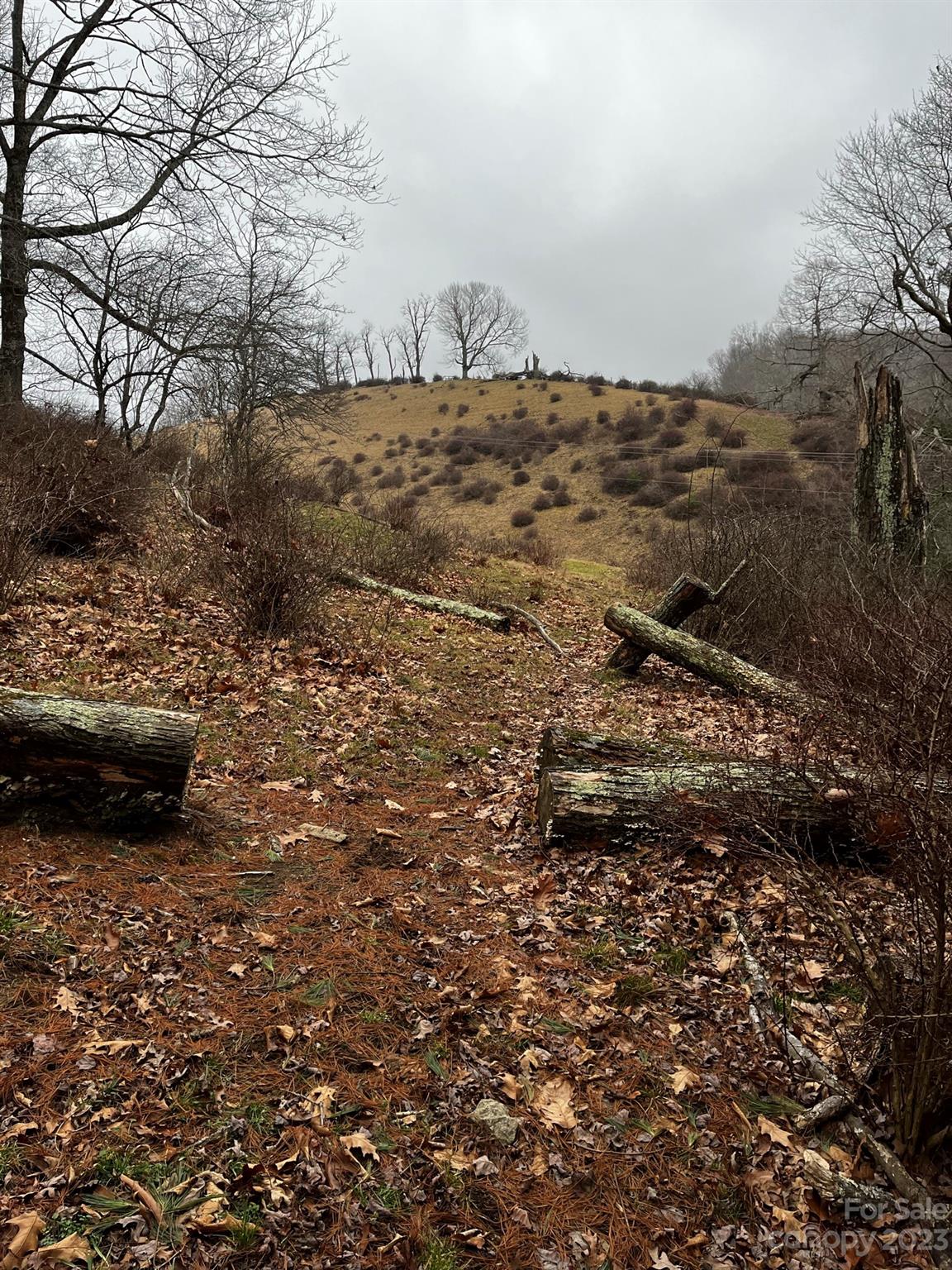 Tbd Poplar Grove Road Boone, NC 28607 - Photo 45 of 48