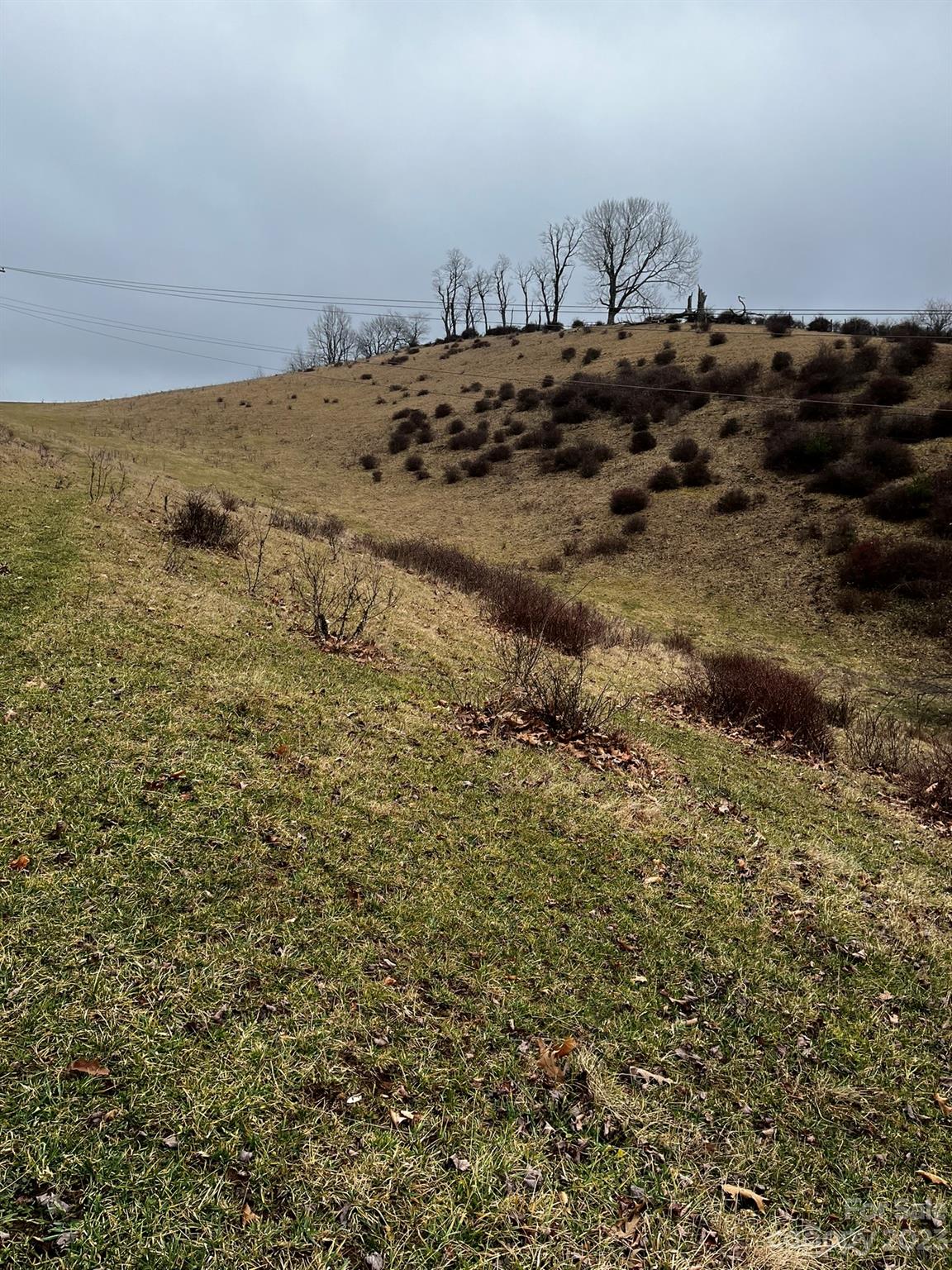Tbd Poplar Grove Road Boone, NC 28607 - Photo 47 of 48