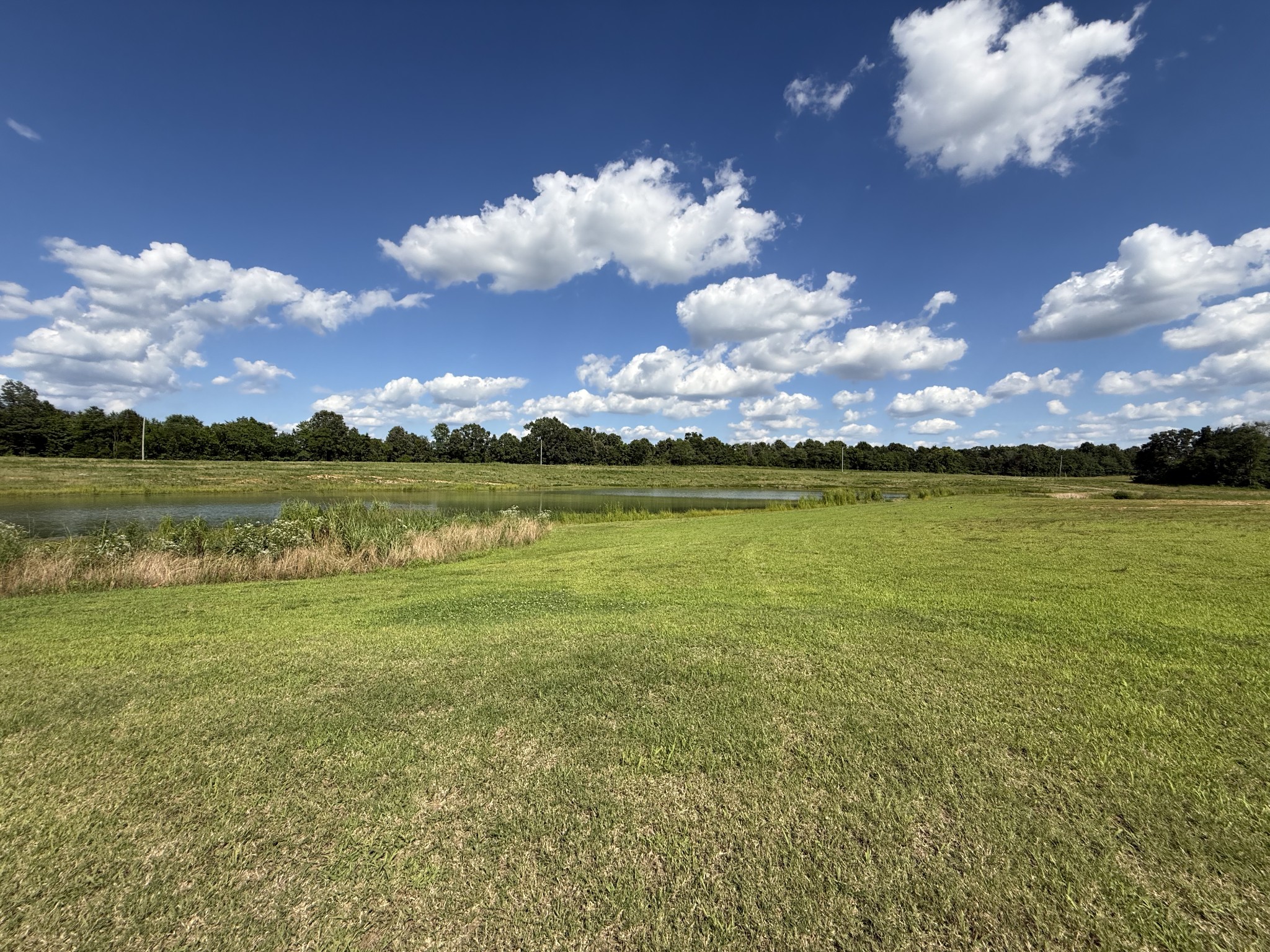 2333 Shady Grove Road McKenzie, TN 38201 - Photo 60 of 72
