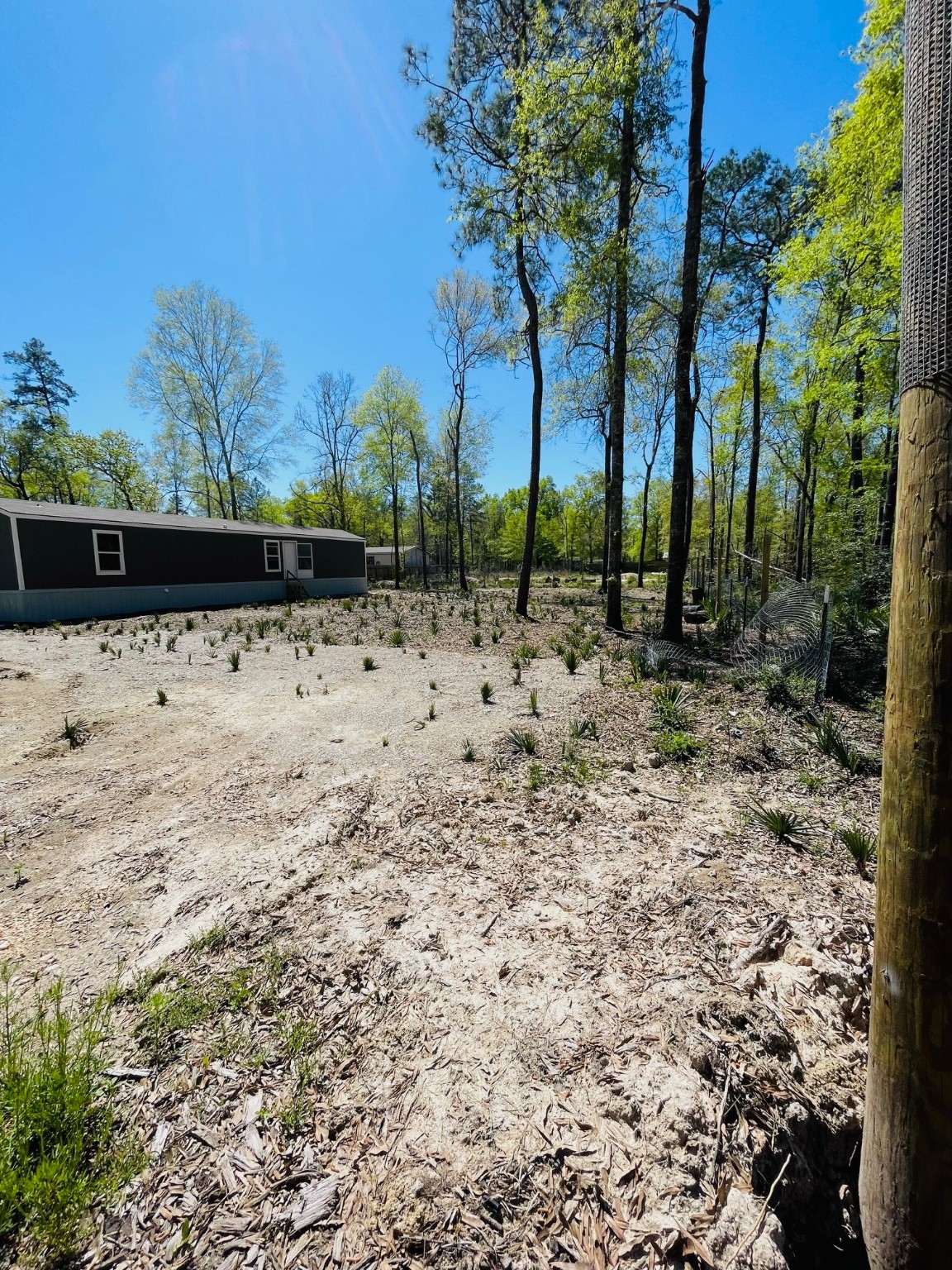 30 Hellon Lane Shepherd, TX 77371 - Photo 13 of 14 a view of a yard with wooden fence