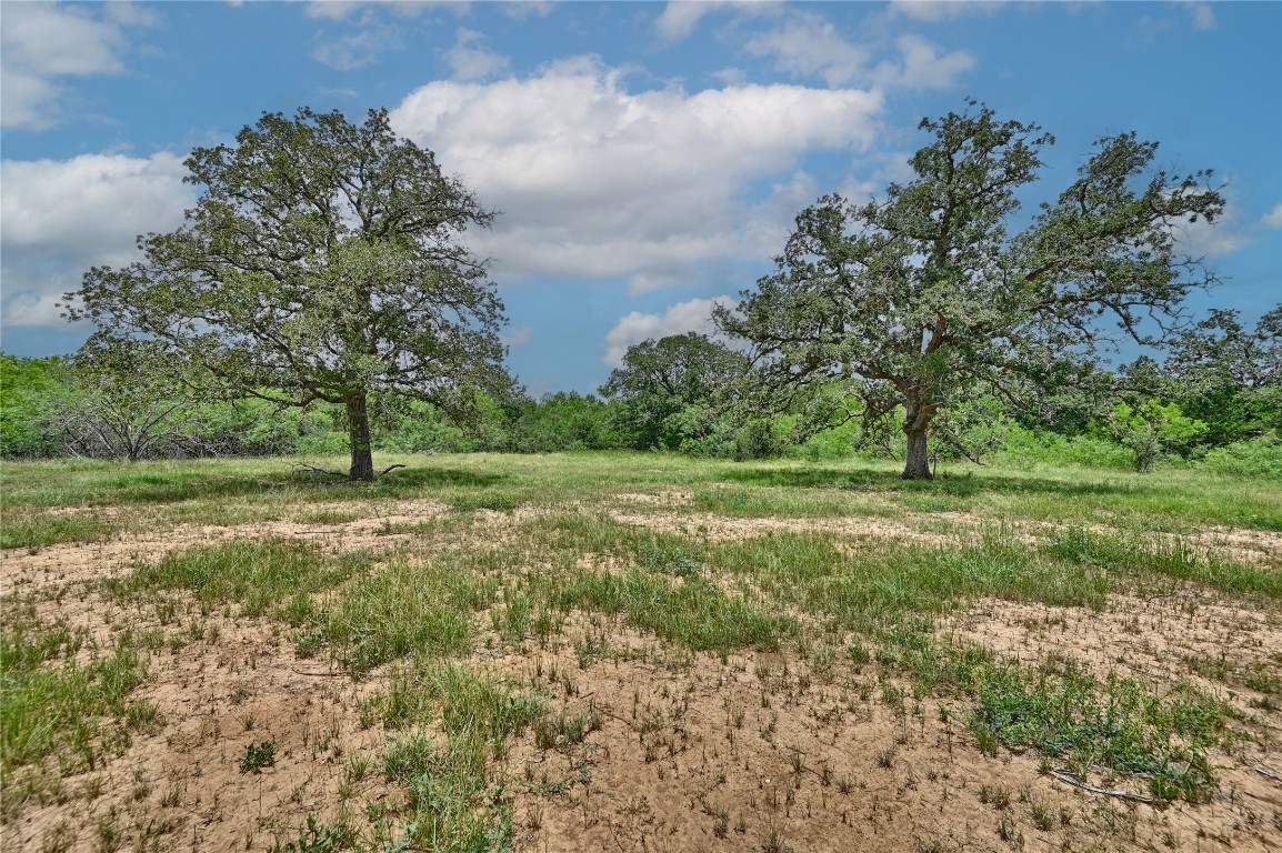 159 Starlight Path Red Rock, TX 78662 - Photo 4 of 18 a view of outdoor space with deck and yard