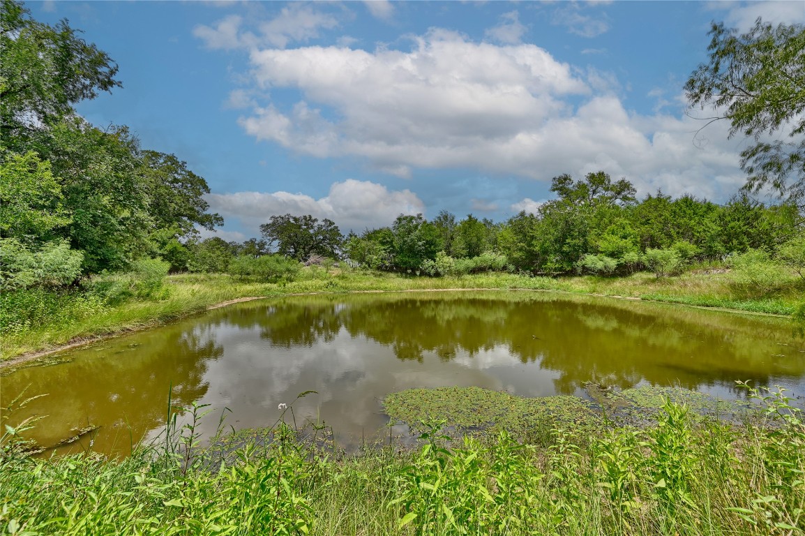 159 Starlight Path Red Rock, TX 78662 - Photo 5 of 18 a view of a lake from a yard