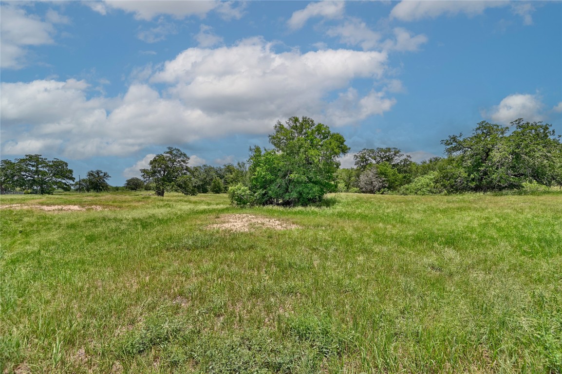 159 Starlight Path Red Rock, TX 78662 - Photo 7 of 18 a view of a green field with wooden fence