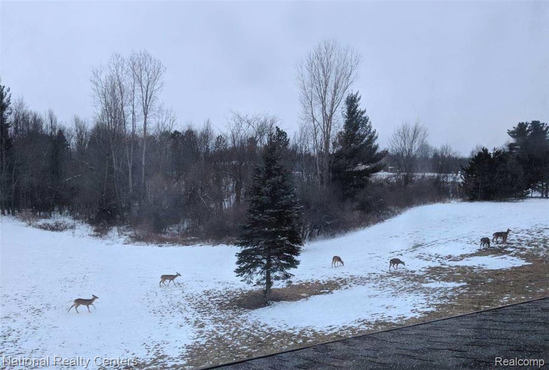 2922 North Lake George Road Dryden, MI 48428 - Photo 64 of 64 A morning view from the Master Bedroom