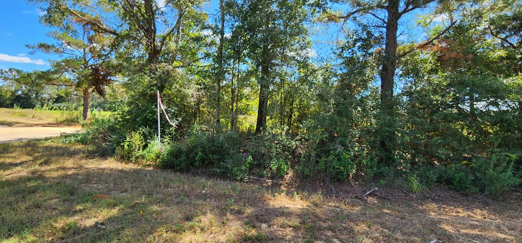 92 County Road 92 Slocomb, AL 36375 - Photo 31 of 32