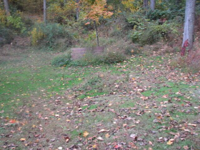 4165 Alten Road Sugar Grove, OH 43155 - Photo 72 of 78 IMG_4753