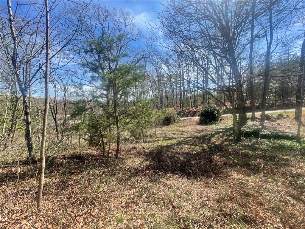 0 Charlie Mitchell Road Walhalla, SC 29691 - Photo 3 of 8