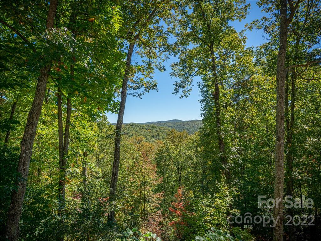 208 Brandy Ridge Brevard, NC 28712 - Photo 36 of 38 Gallery Image 36