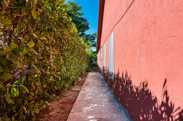 a view of a pathway with a garden