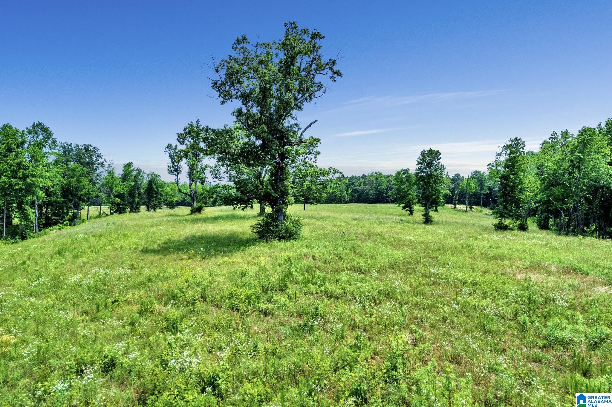 2775 Corner Road Warrior, AL 35180 - Photo 47 of 49
