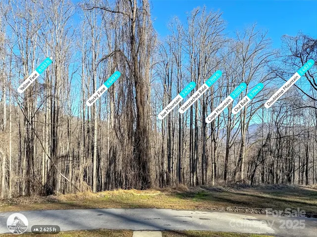 $1,700,000 | 284 Cutting Edge Drive, Sylva, NC 28779