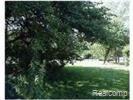0 Boucher Road Grosse Ile, MI 48138 - Photo 2 of 2