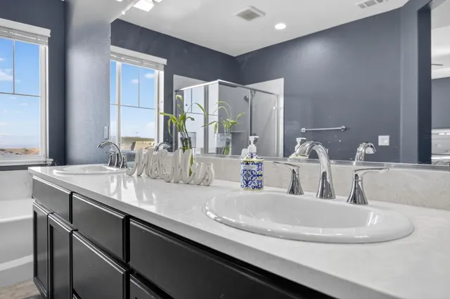 a bathroom with a sink double vanity and a mirror