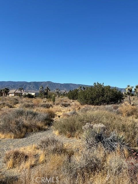0 Calaveras Road Phelan, CA 92371 - Photo 2 of 2