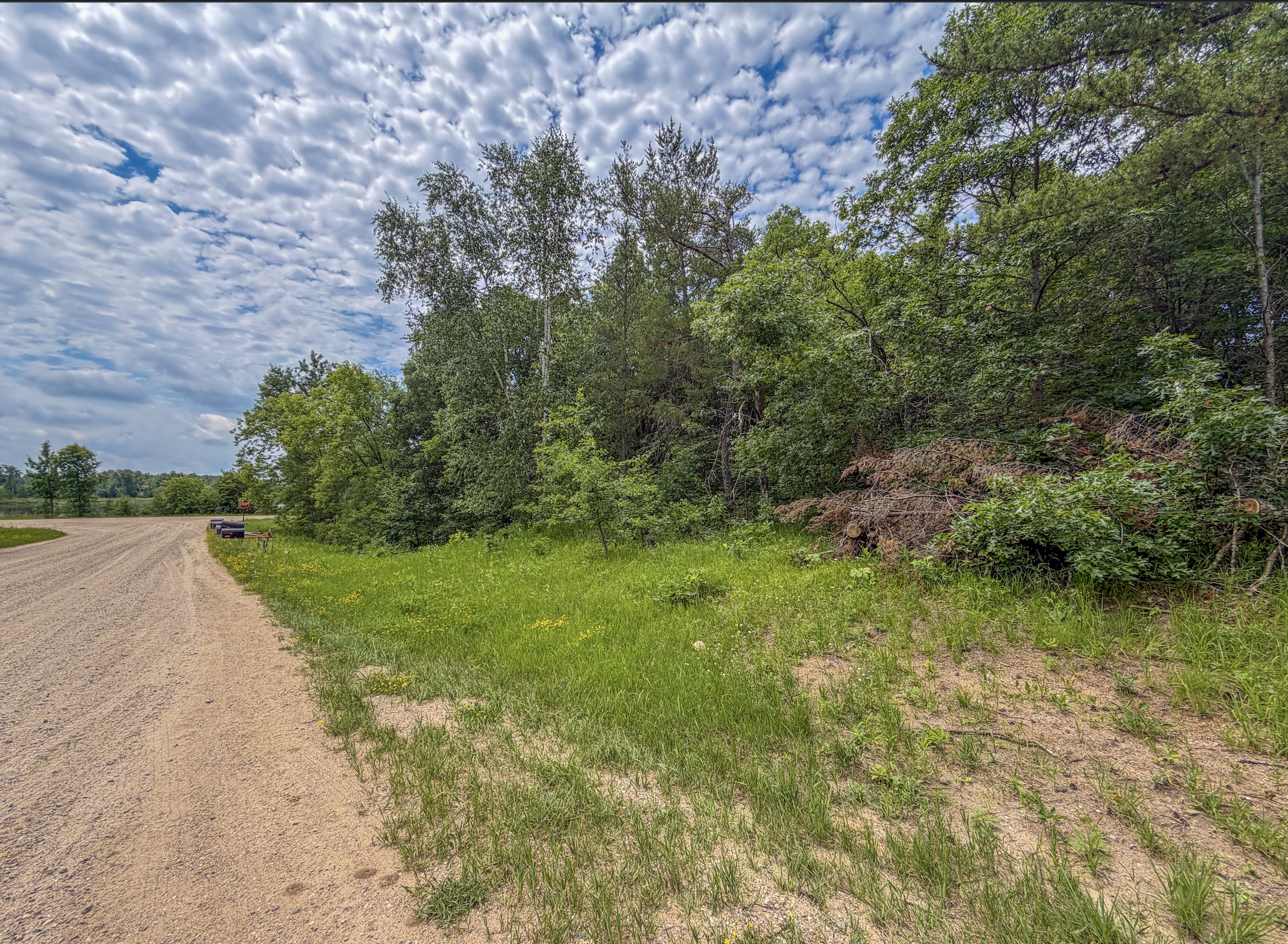 Tbd Grant Hills Road Southwest Bemidji, MN 56601 - Photo 1 of 9