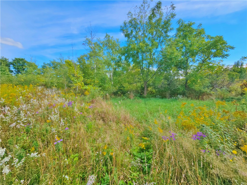 8237 Ford Road Pulteney, NY 14418 - Photo 24 of 48 Gallery Image 24