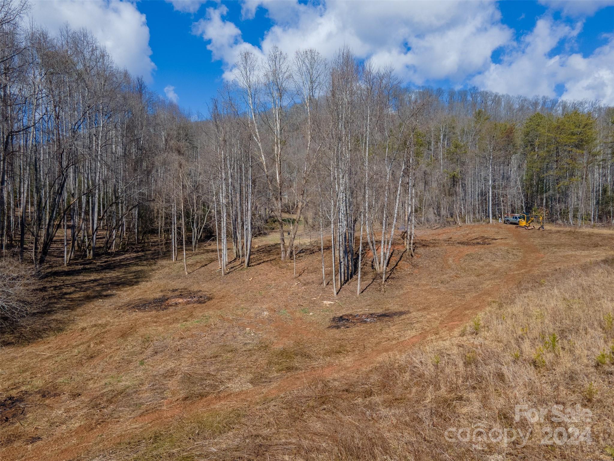 3241 Tapoco Road Robbinsville, NC 28771 - Photo 8 of 31 Gallery Image 8