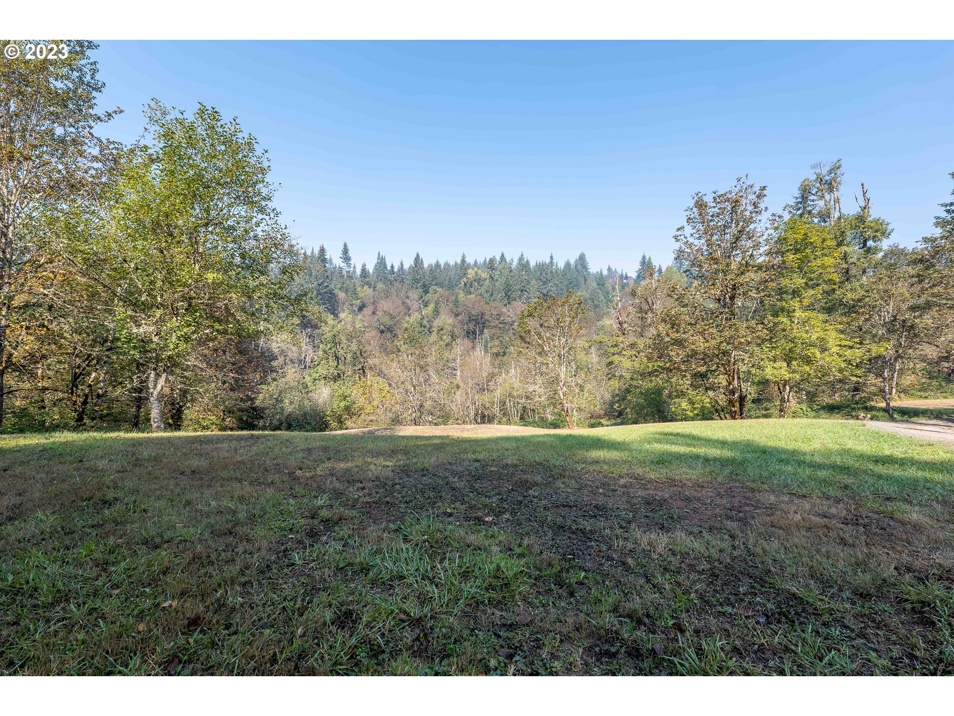 37549 Wallace Creek Road Springfield, OR 97478 - Photo 23 of 48 Gallery Image 23