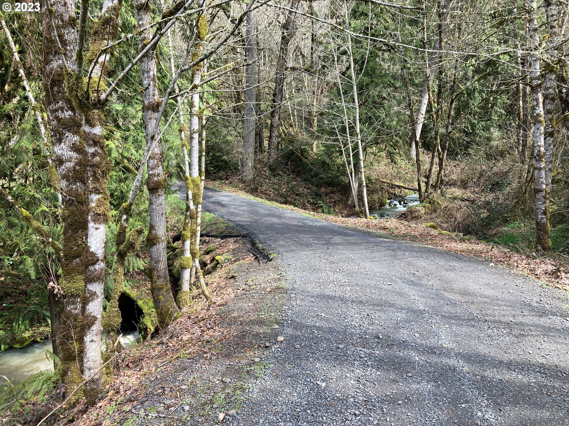37549 Wallace Creek Road Springfield, OR 97478 - Photo 34 of 48 Gallery Image 34