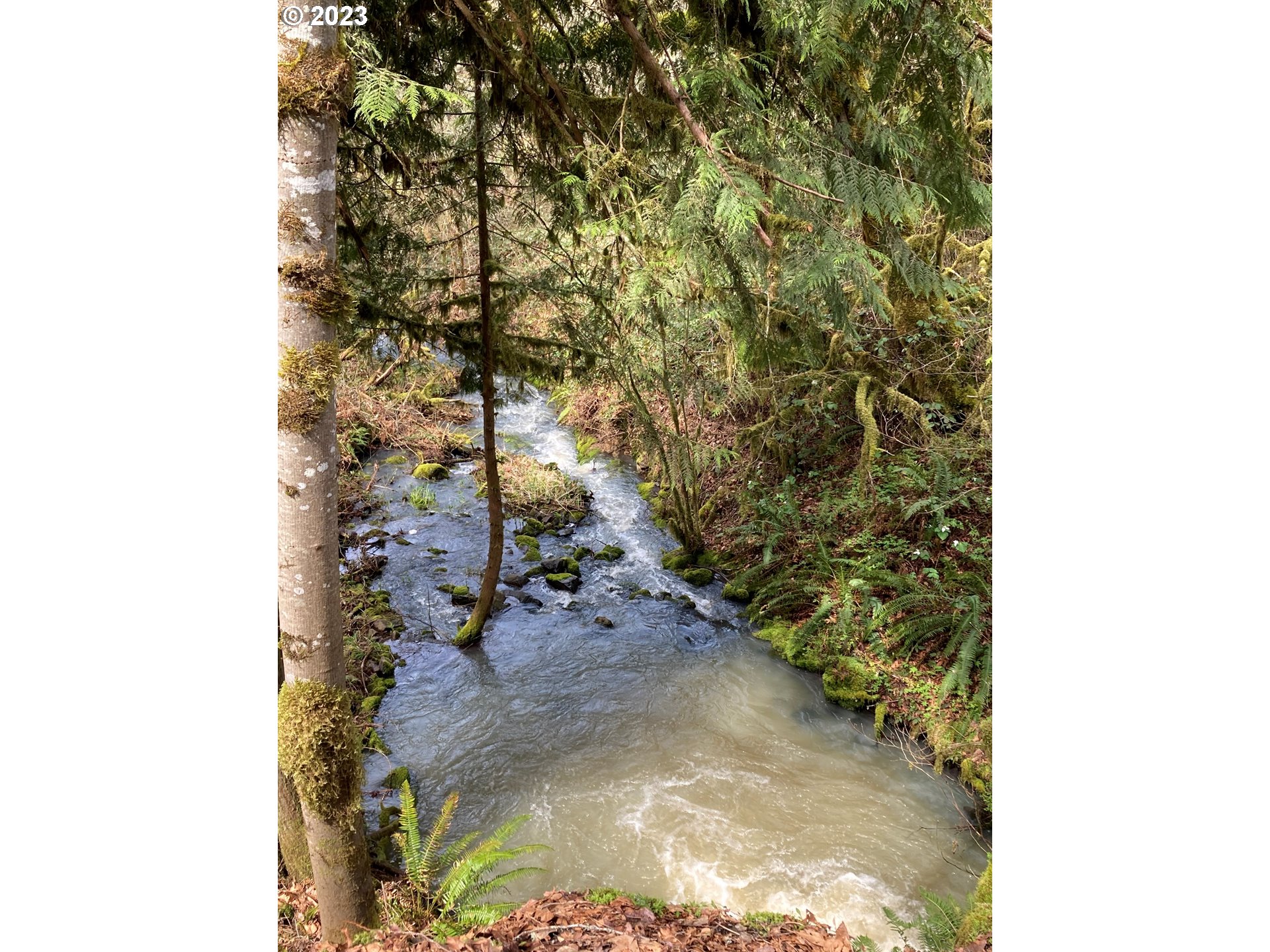 37549 Wallace Creek Road Springfield, OR 97478 - Photo 35 of 48 Gallery Image 35
