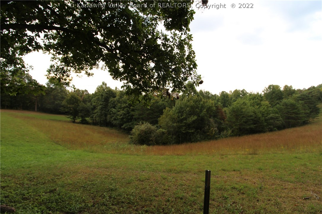 1242 Price Ridge Road Gandeeville, WV 25243 - Photo 13 of 17 Gallery Image 13