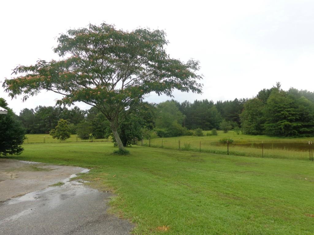 24487 Choctaw Road Franklinton, LA 70438 - Photo 12 of 25 Gallery Image 12