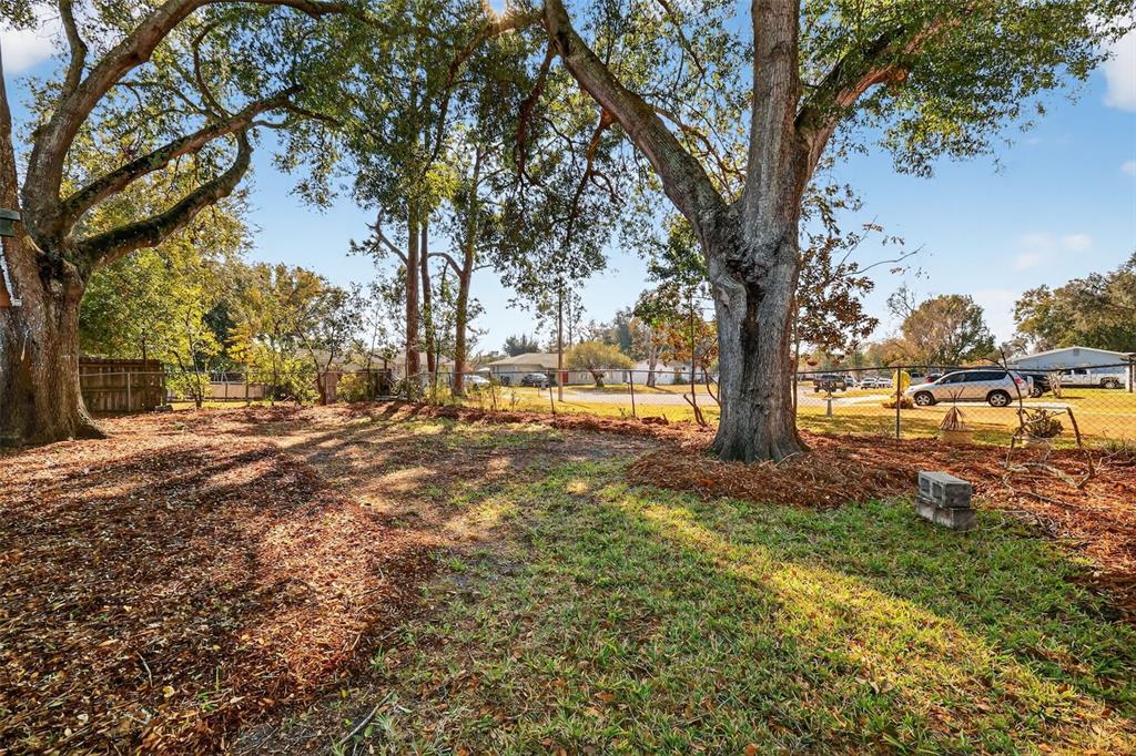 1500 Adair Street Ocoee, FL 34761 - Photo 18 of 20