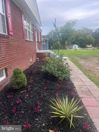 a view of a garden with a flower in a garden