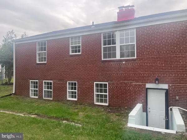 a view of a trees in a yard