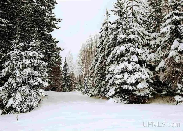 $82,000 | 15169 Bellaire Road, Baraga, MI 49908