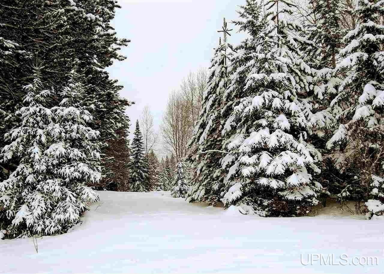 15169-bellaire-rd-baraga-township-mi