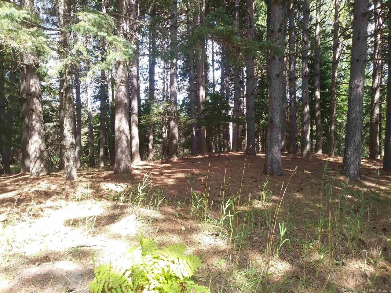 15169 Bellaire Road Baraga, MI 49908 - Photo 2 of 9 Bellaire2