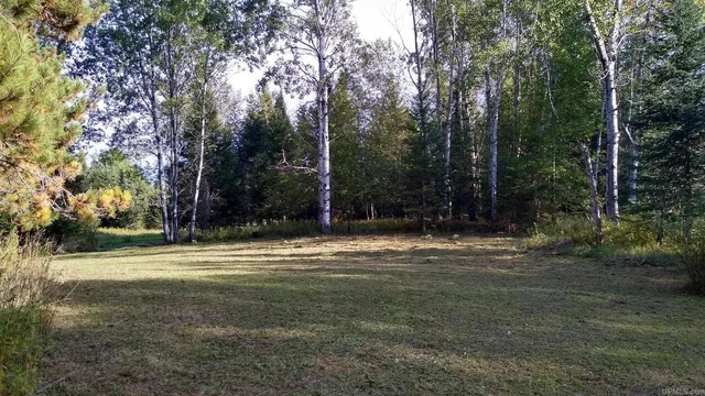 $90,000 | 15169 Bellaire Road, Baraga, MI 49908