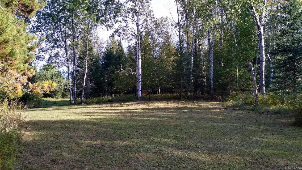 15169 Bellaire Road Baraga, MI 49908 - Photo 4 of 9 Bellaire4