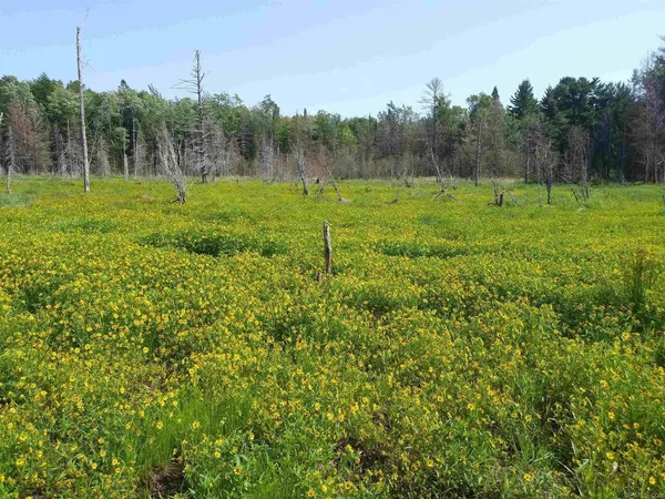 $82,000 | 15169 Bellaire Road, Baraga, MI 49908