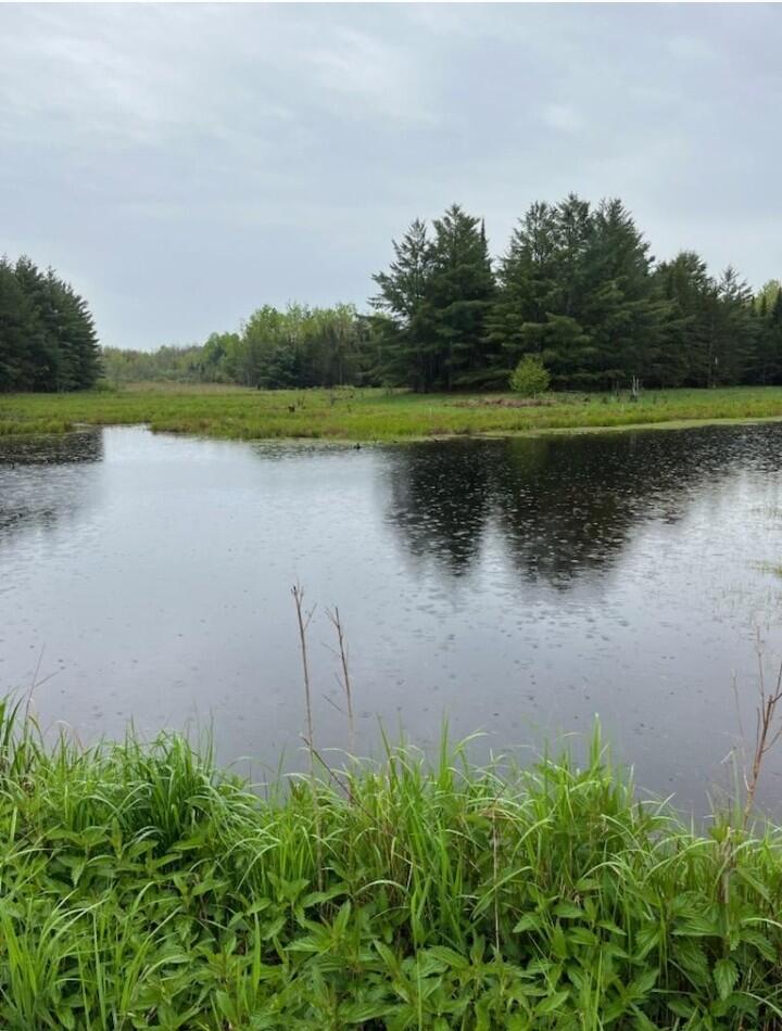 15169 Bellaire Road Baraga, MI 49908 - Photo 6 of 9 Bellaire Pond