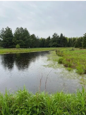 $90,000 | 15169 Bellaire Road, Baraga, MI 49908