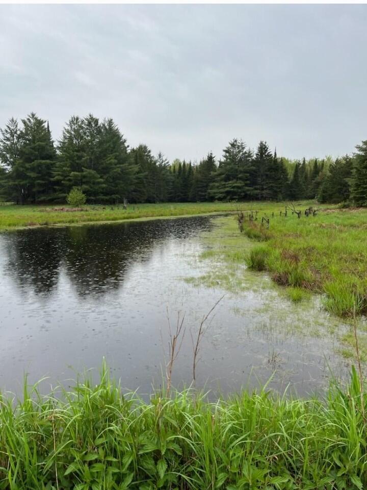 15169 Bellaire Road Baraga, MI 49908 - Photo 7 of 9 Bellaire Pond2