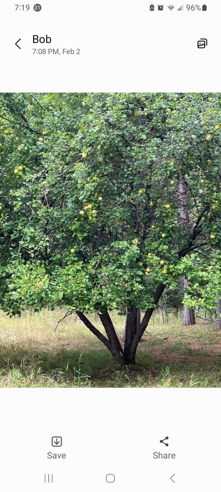 15169 Bellaire Road Baraga, MI 49908 - Photo 8 of 9 Screenshot_20260202_191911_Messages