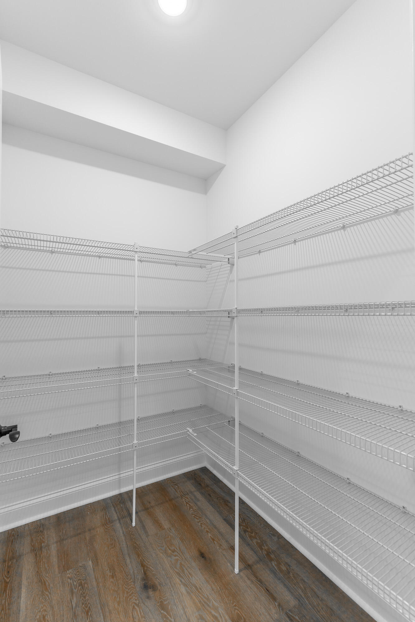 1036 Silverpine Drive Chattanooga, TN 37421 - Photo 23 of 53 Pantry