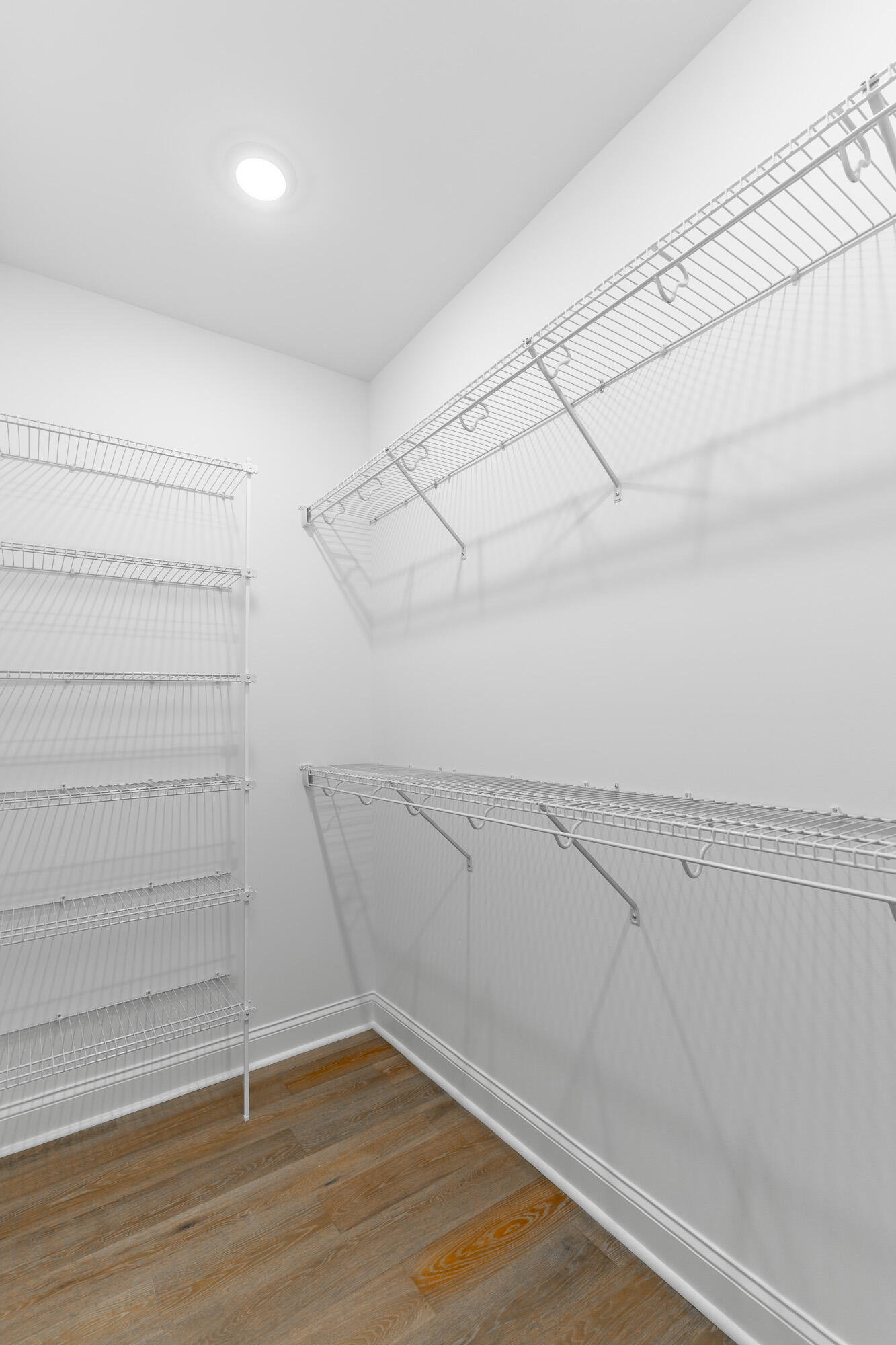 1036 Silverpine Drive Chattanooga, TN 37421 - Photo 35 of 53 Primary Closet